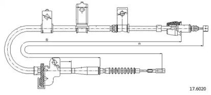 CABOR 17.6020