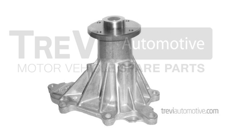 TREVI AUTOMOTIVE TP1166