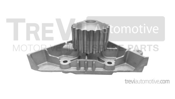 TREVI AUTOMOTIVE TP963