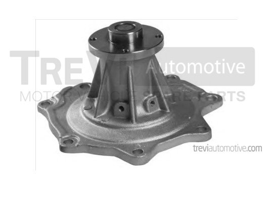 TREVI AUTOMOTIVE TP1095