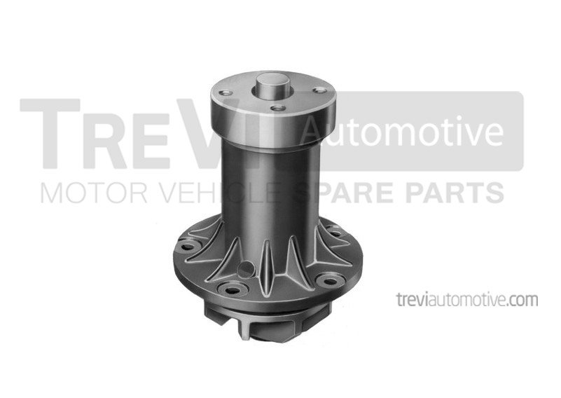 TREVI AUTOMOTIVE TP205