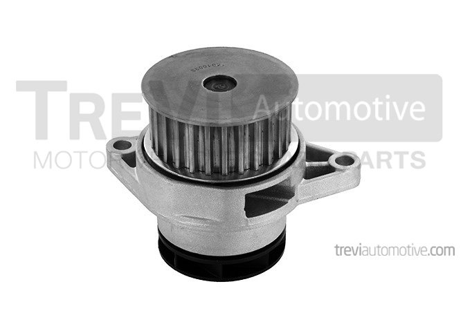 TREVI AUTOMOTIVE TP754