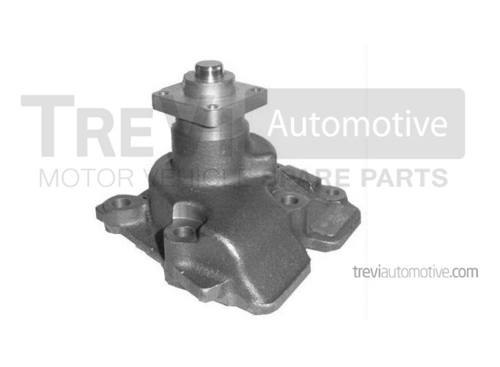 TREVI AUTOMOTIVE TP423