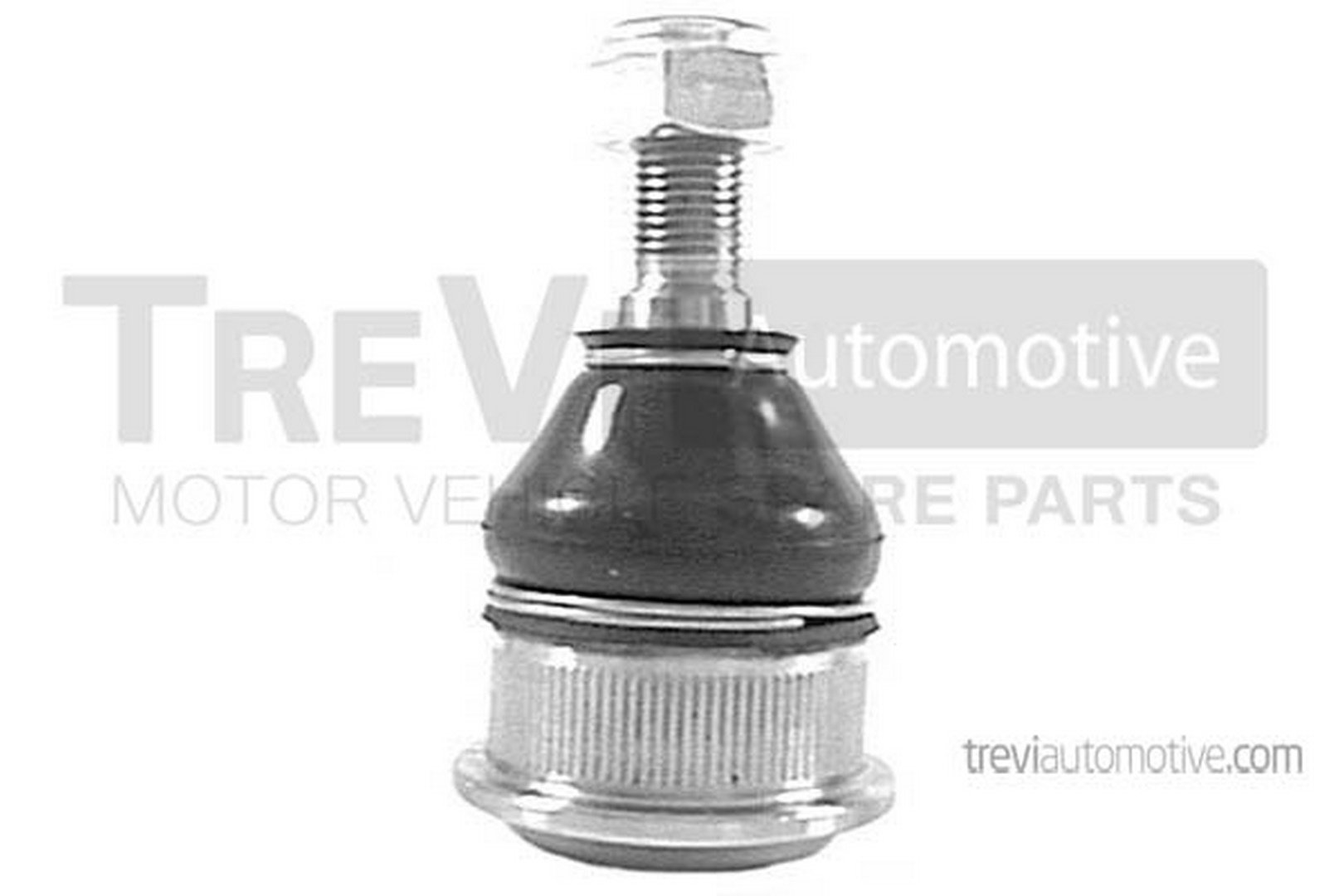 TREVI AUTOMOTIVE TRTT4629