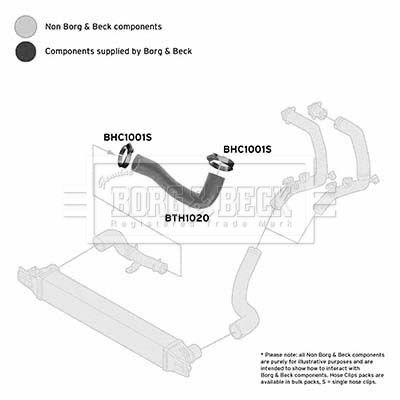 BORG & BECK BTH1020