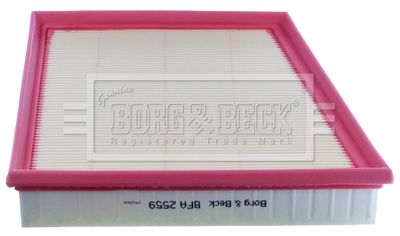 BORG & BECK BFA2559