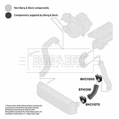 BORG & BECK BTH1318