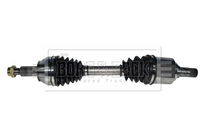 BORG & BECK BDS1198