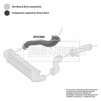 BORG & BECK BTH1360