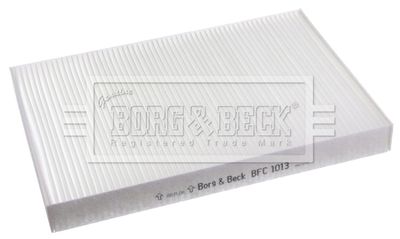 BORG & BECK BFC1013
