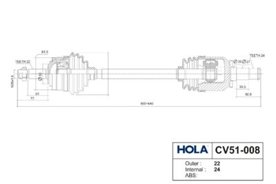 HOLA CV51-008