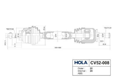 HOLA CV52-008