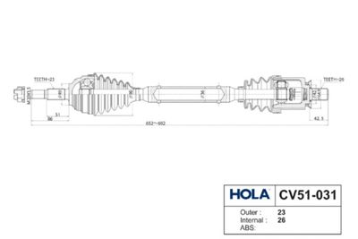 HOLA CV51-031