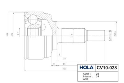 HOLA CV10-028