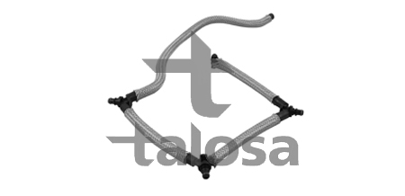 TALOSA 68-18613