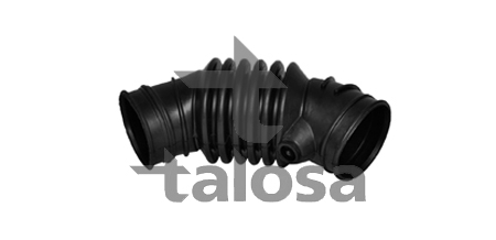TALOSA 66-19793