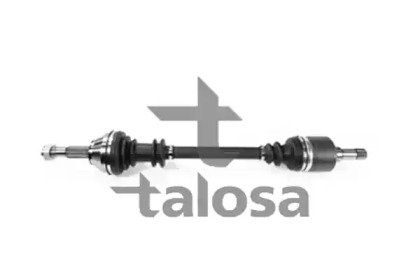 TALOSA 76-FI-8019