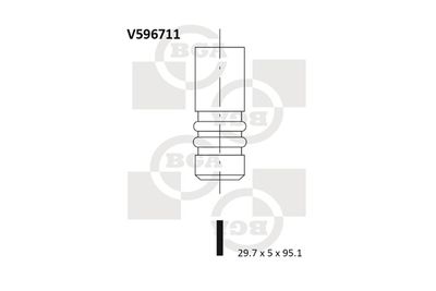 BGA V596711