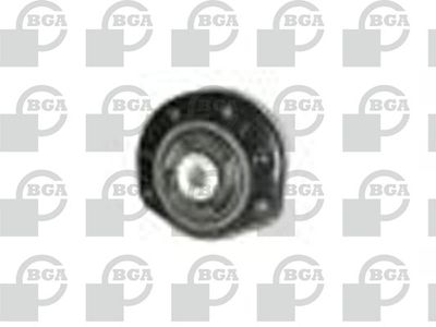 BGA SM5601