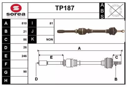 SERA TP187