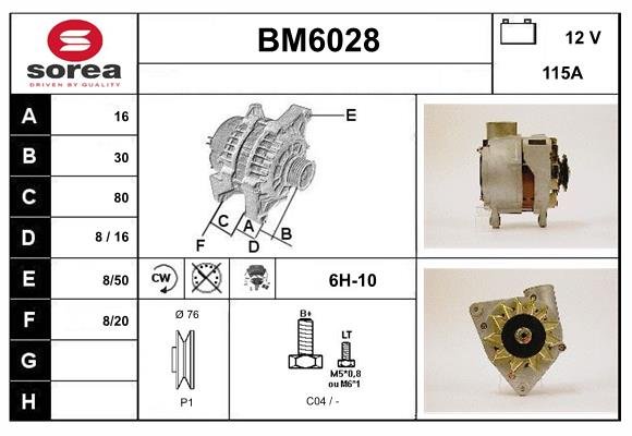 SERA BM6028