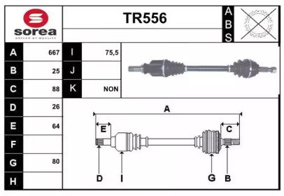 SERA TR556