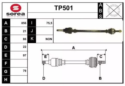 SERA TP501