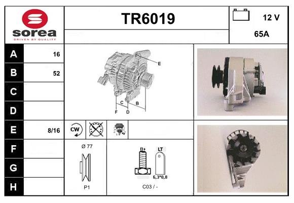 SERA TR6019