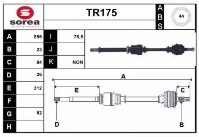 SERA TR175