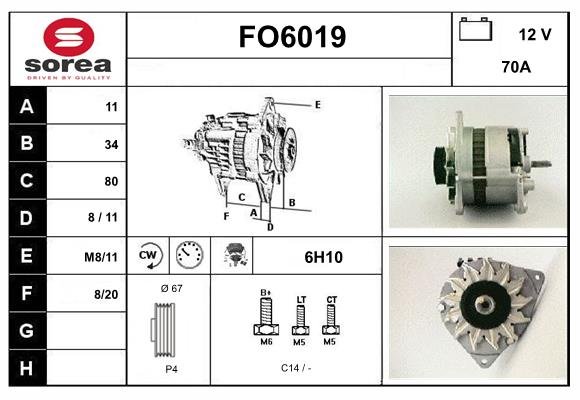 SERA FO6019