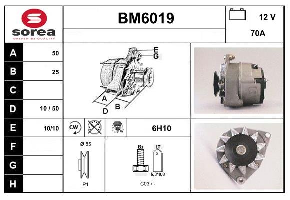 SERA BM6019