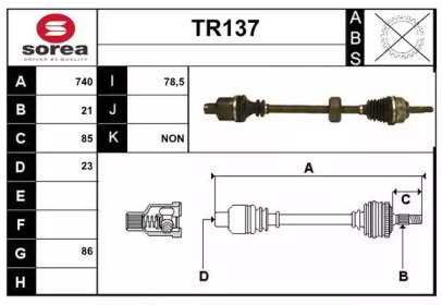 SERA TR137