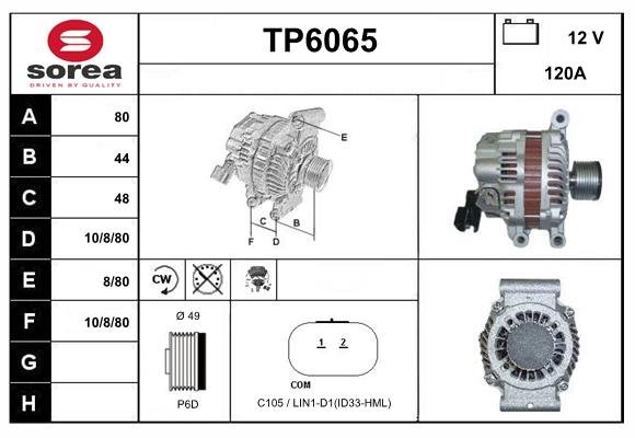 SERA TP6065