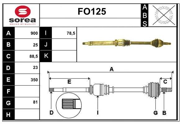 SERA FO125