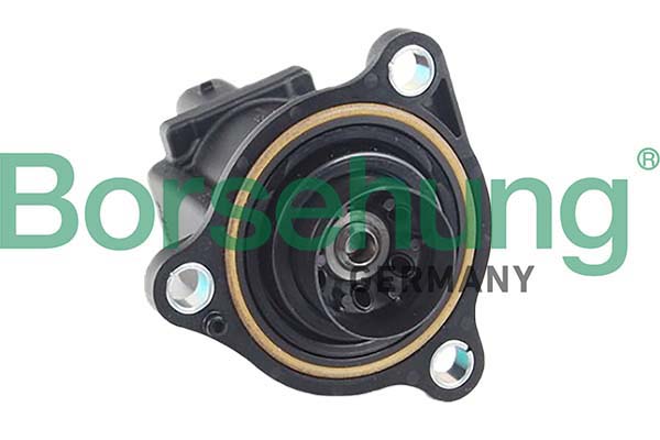 Borsehung B12584