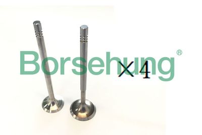 Borsehung B18193