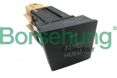 Borsehung B18901 Borsehung B18901