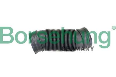 Borsehung B12326