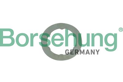 Borsehung B10649