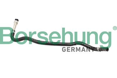 Borsehung B11968