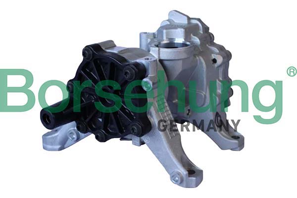 Borsehung B11903 Borsehung B11903