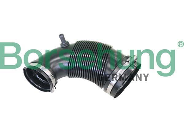 Borsehung B12328