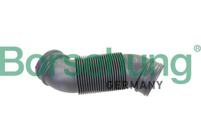 Borsehung B12323 Borsehung B12323