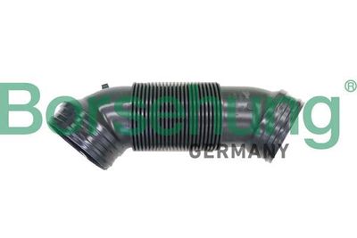 Borsehung B12324
