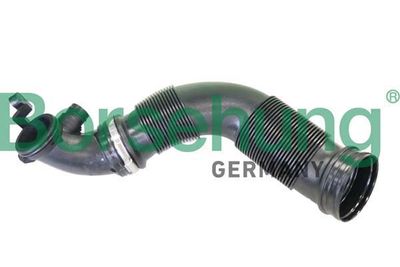 Borsehung B12335