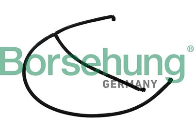 Borsehung B11988