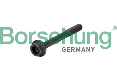 Borsehung B10652