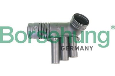 Borsehung B12330
