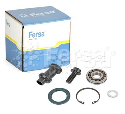 Fersa Bearings FSRK 001