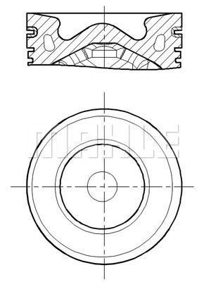 WILMINK GROUP WG2196017